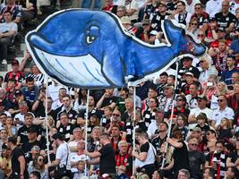 Glosse: Das Streiflicht: Timmy ist abgetaucht – was wir nun suchen